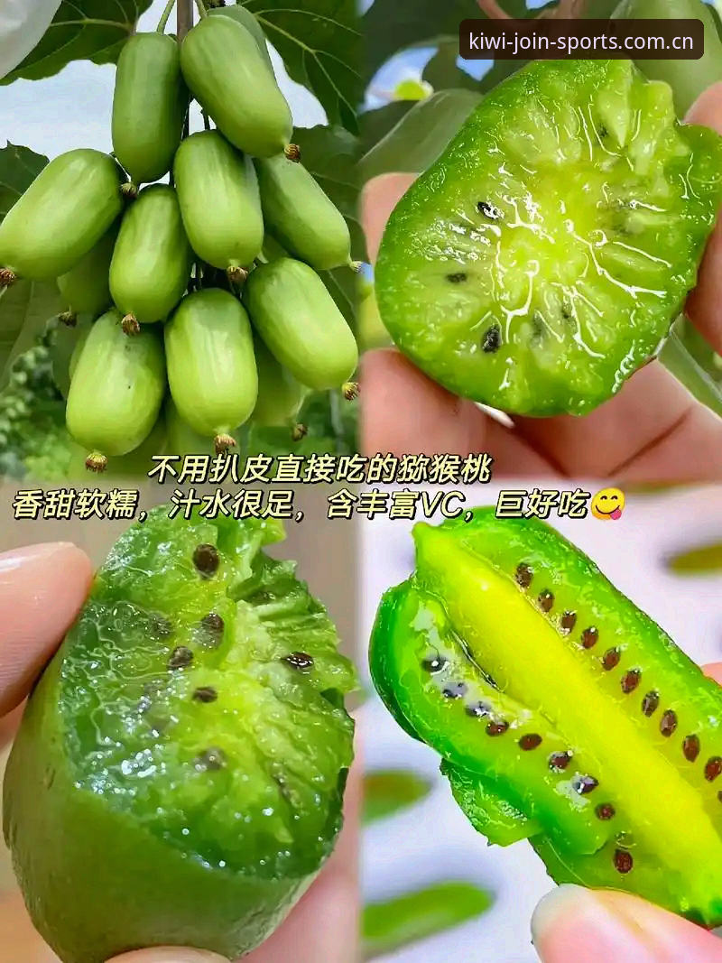 奇异果体育中国首页到底该怎么用？——一位一线记者还原真实操作现场